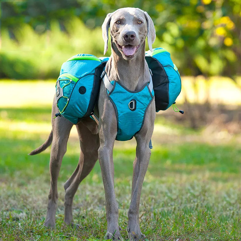 Pet self backpack carrier for medium and large dogs, detachable chest-worn, water-repellent polyester, purple orange blue