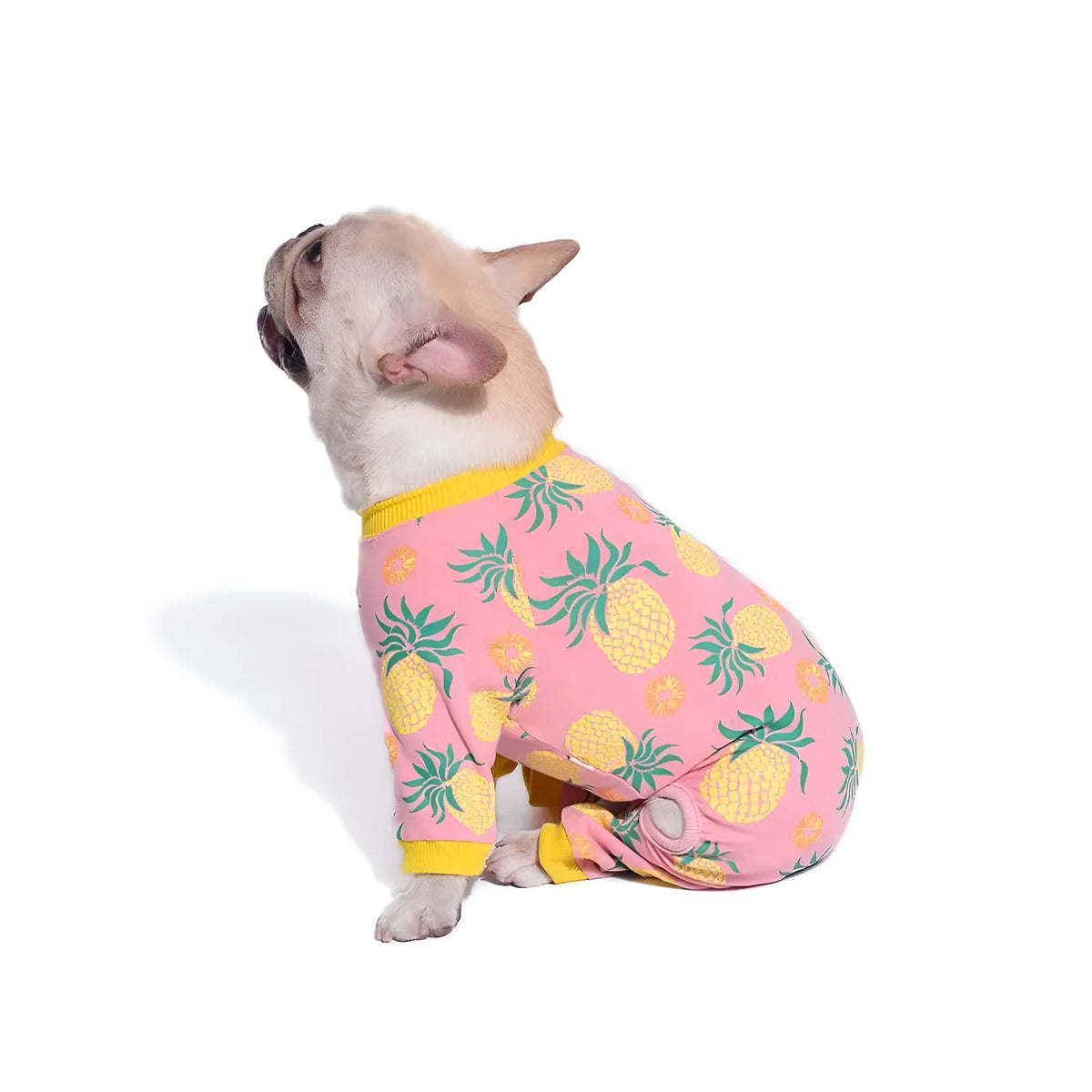 Pink cotton stretch pet sweater in sizes S to 2XL and FB with chest 20-62cm