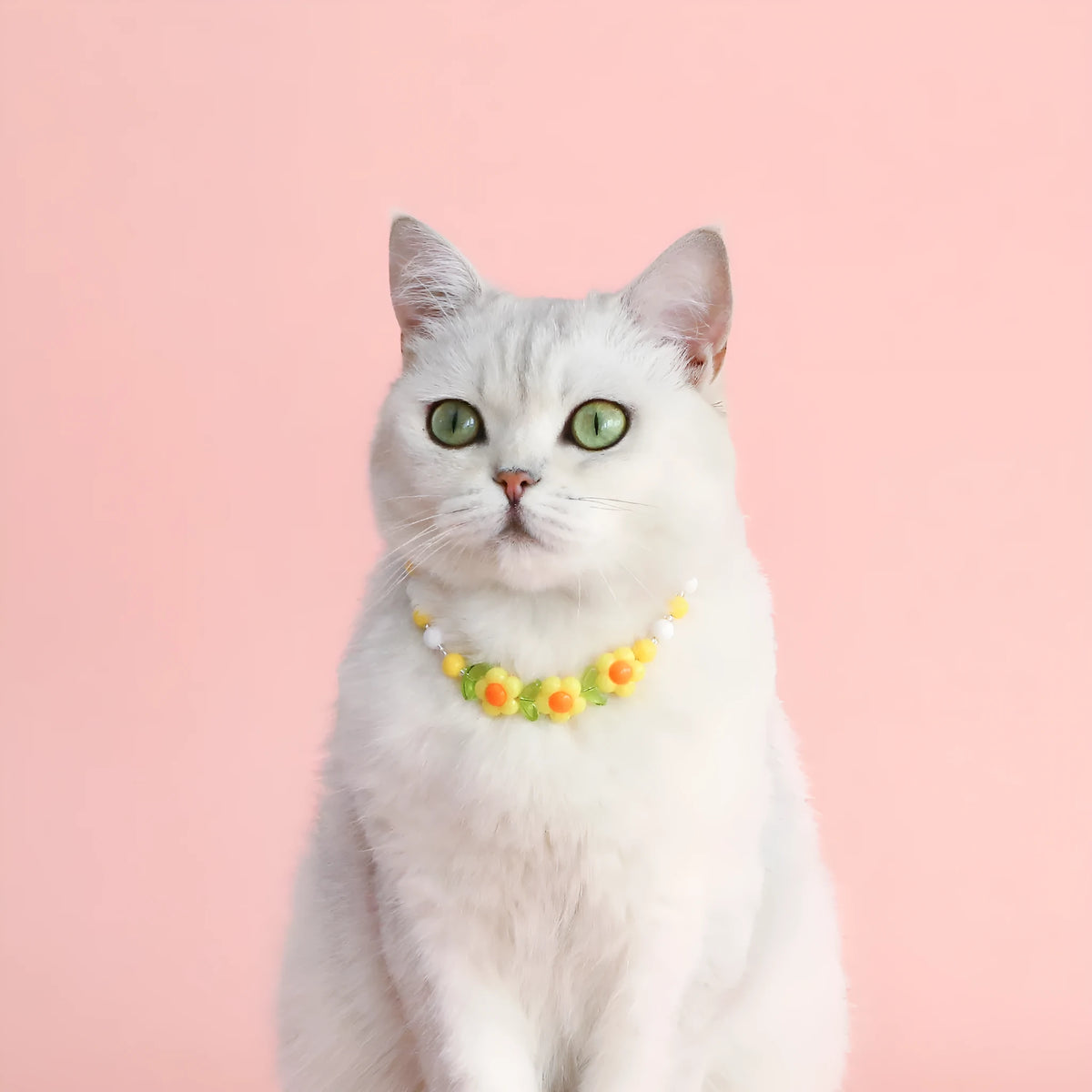 Colourful plastic pearl pet necklace with flower charm in rainbow, peach or small flower patterns