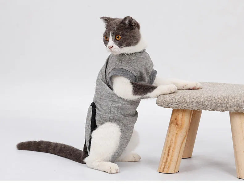 Pure cotton cat recovery suit for post-surgery, anti-lick design, sizes XS S M.