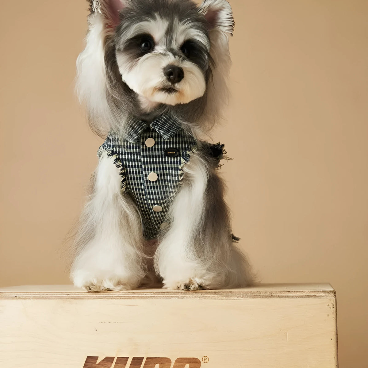 Blue washed old plaid sleeveless denim dog vest in cotton, casual unisex pet clothing, sizes XS to XXL