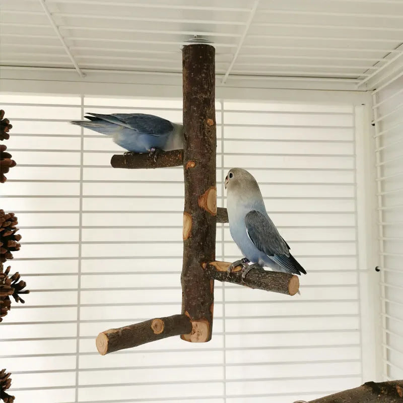 Apple wood parrot bird stand with pole, assembled perch toy in picture colour for small parrots