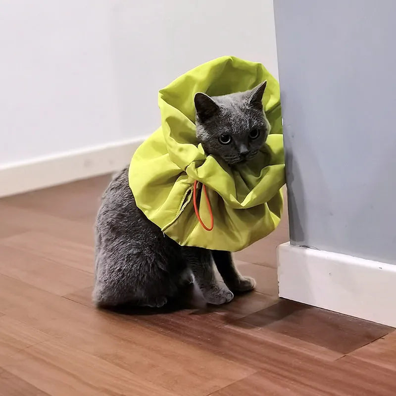 Soft adjustable polyester cat recovery collar in light blue shown on a model.