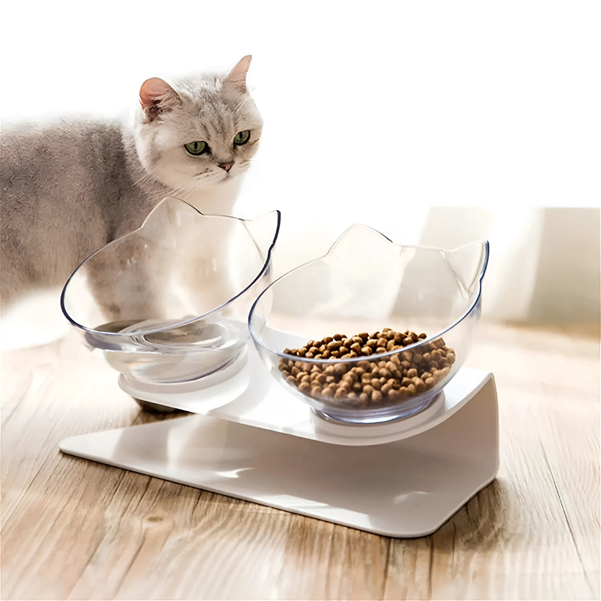 Non slip double cat bowl with raised stand, 15° tilted transparent pet feeder for cats and dogs