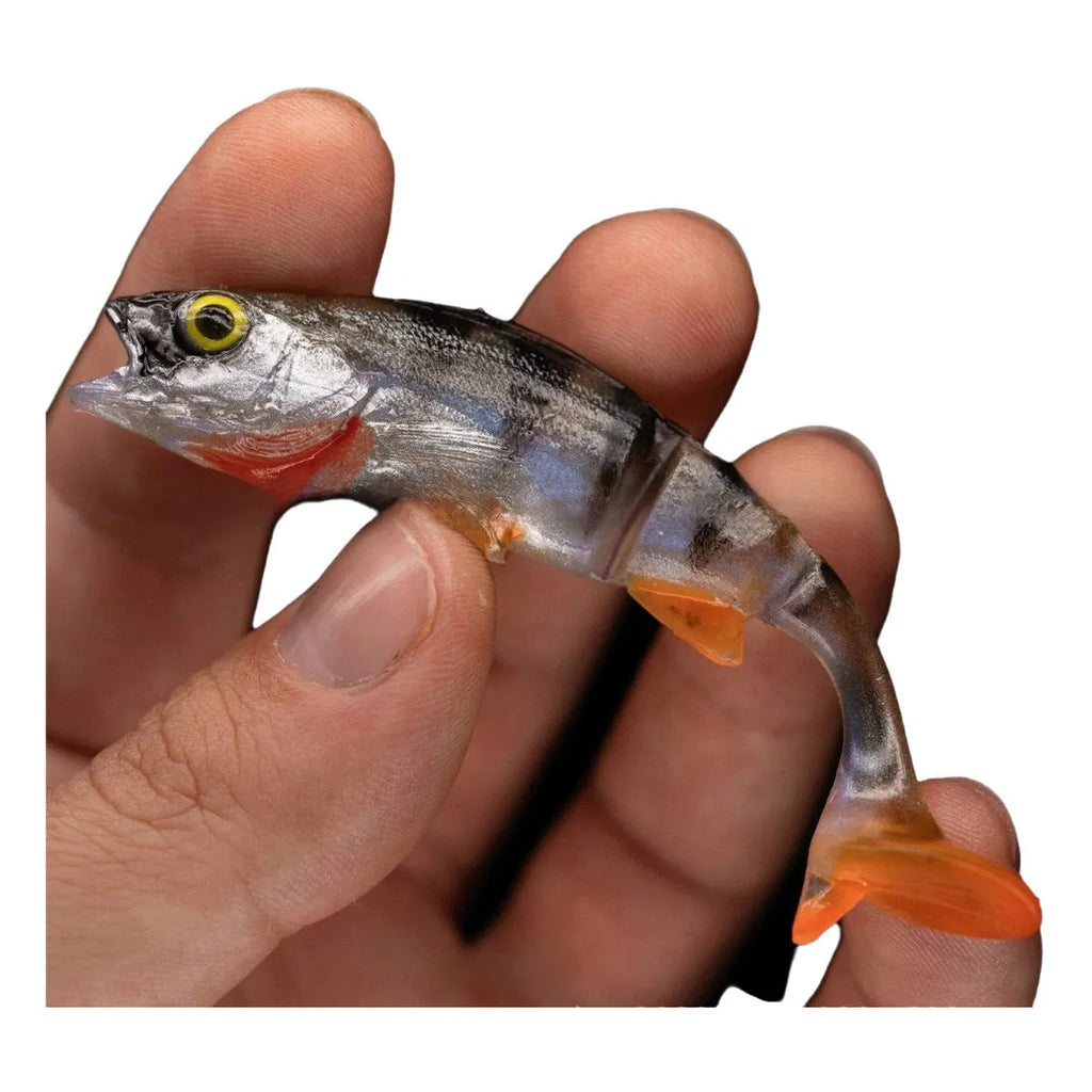 Fish-shaped soft fishing lure with T-tail design and realistic scales in natural fish colours