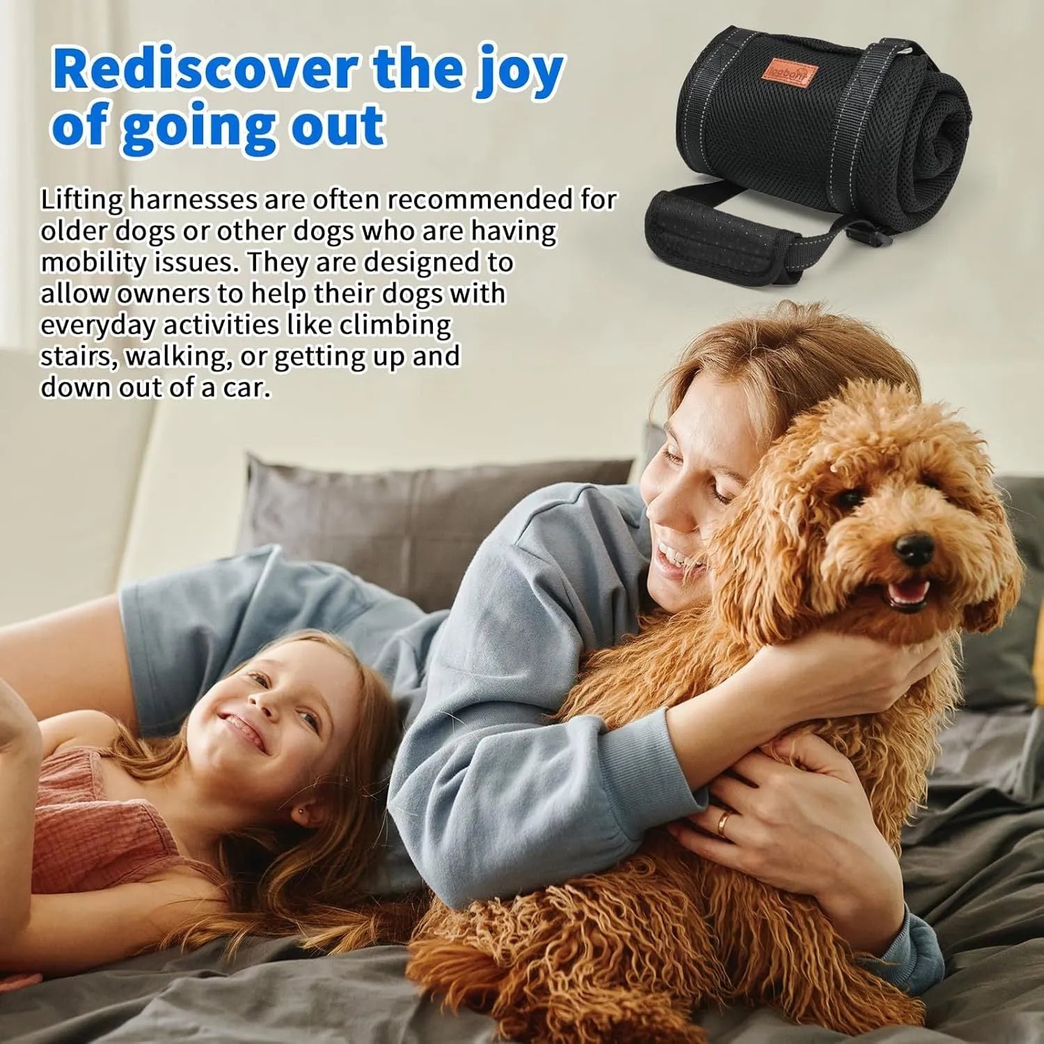 Adjustable dog hip support sling with nylon straps and soft lining for hind leg mobility assistance.