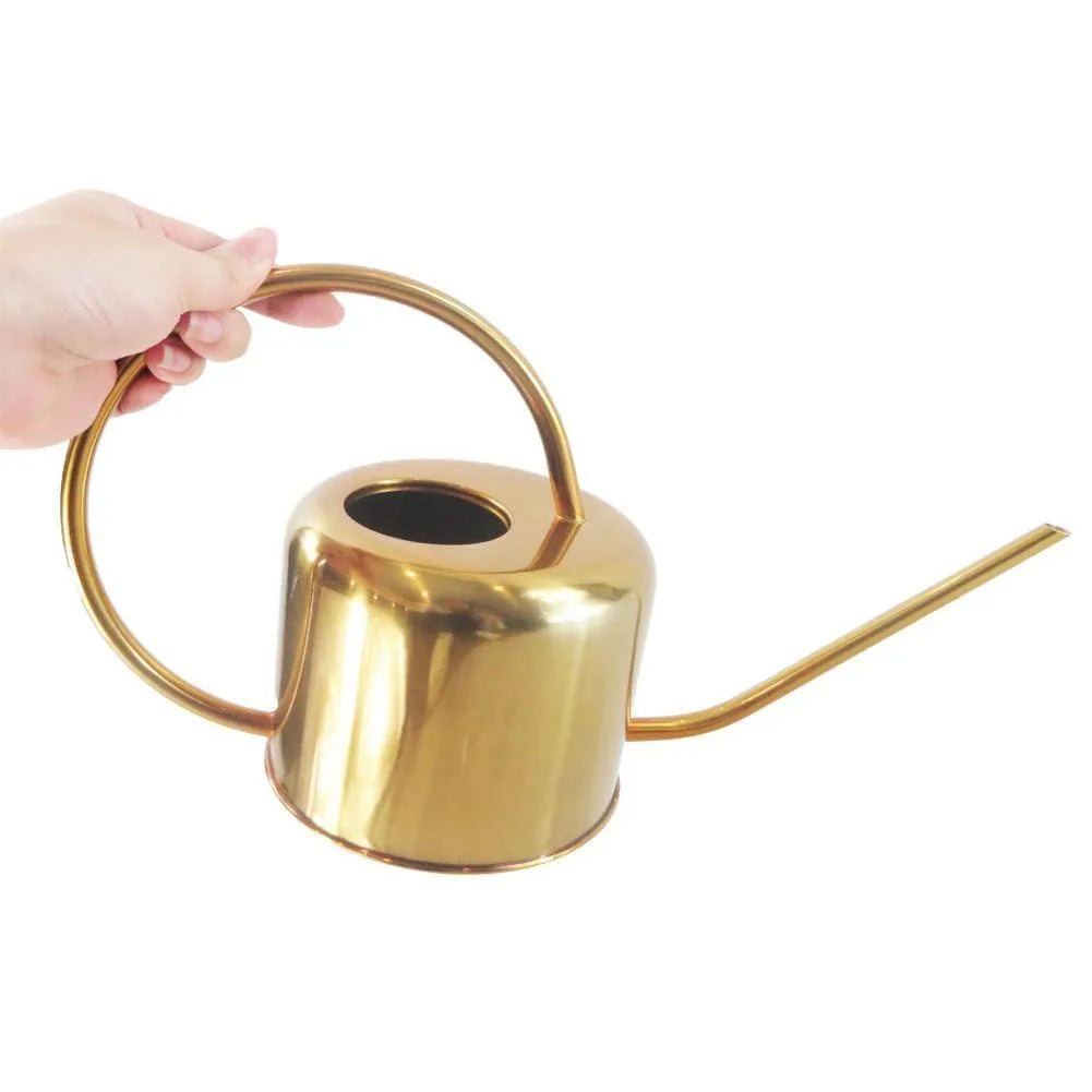 Stainless steel watering can with long spout, 2 litre capacity, shown in garden setting