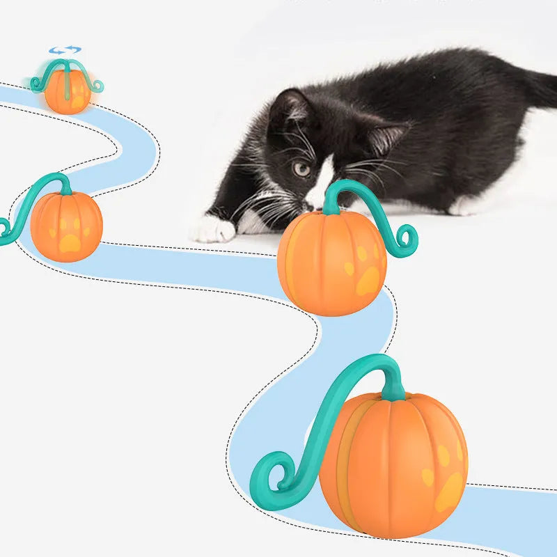 Electric cat toy ball with LED light in watermelon design showing automatic movement pattern