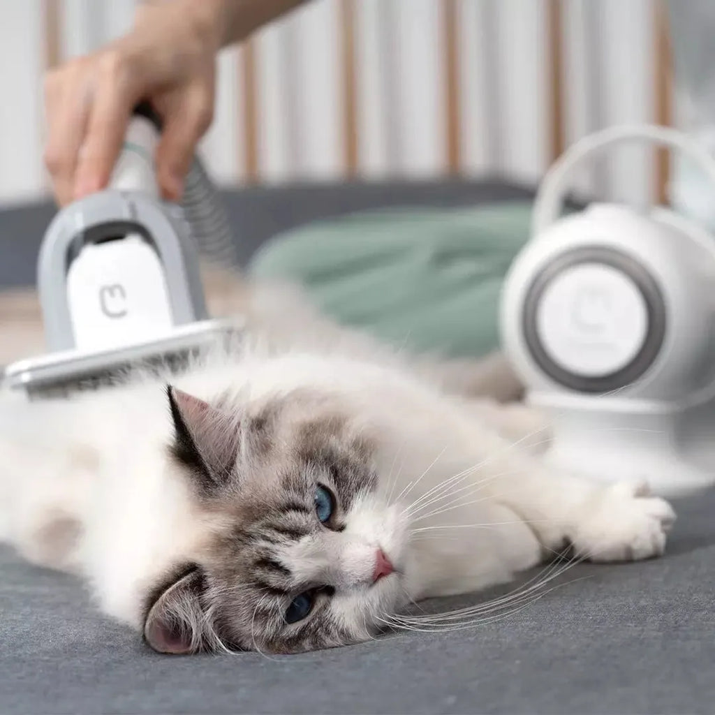 White pet grooming clippers set with electric scissors and five grooming attachments on table