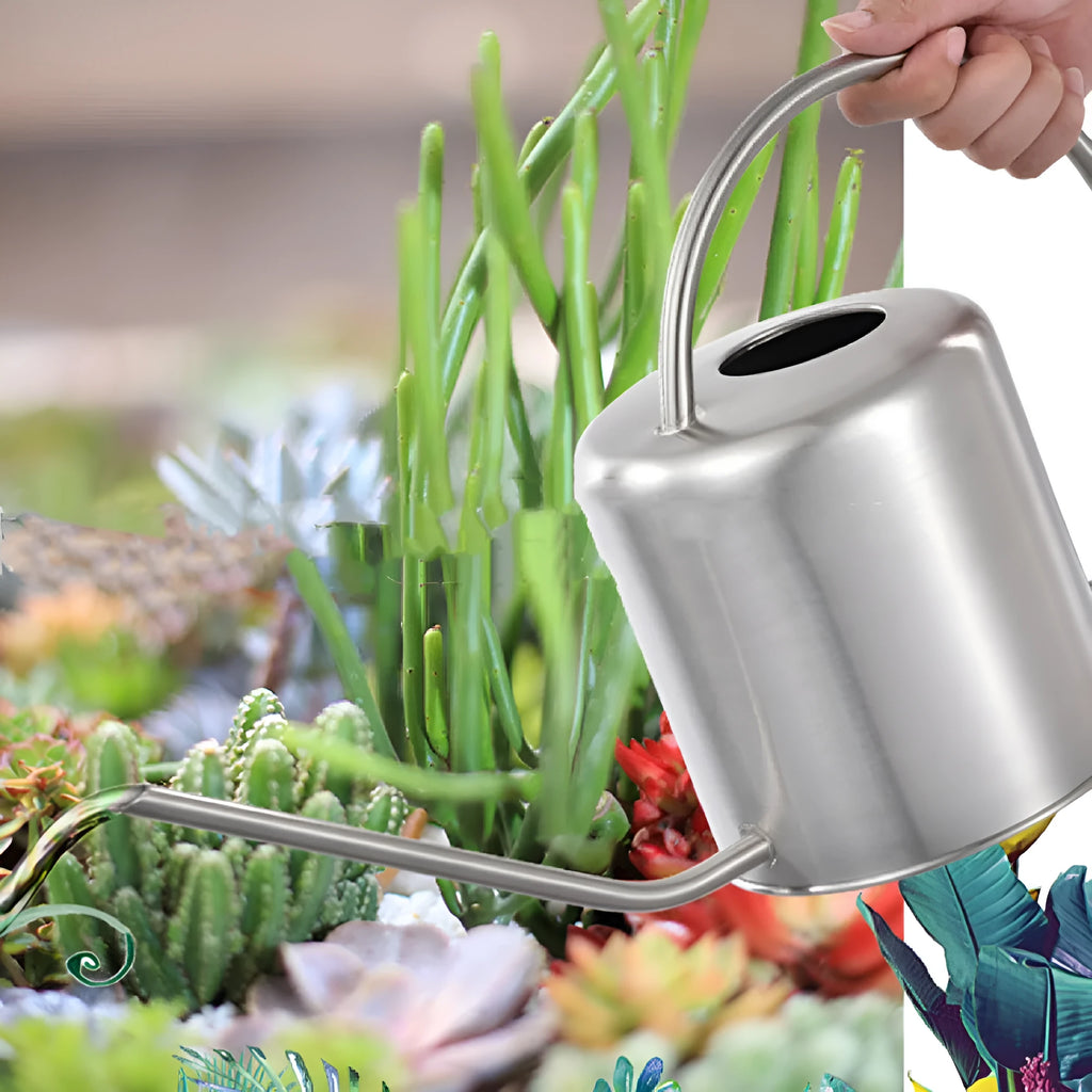 Stainless steel watering can with long spout, 2 litre capacity, shown in garden setting