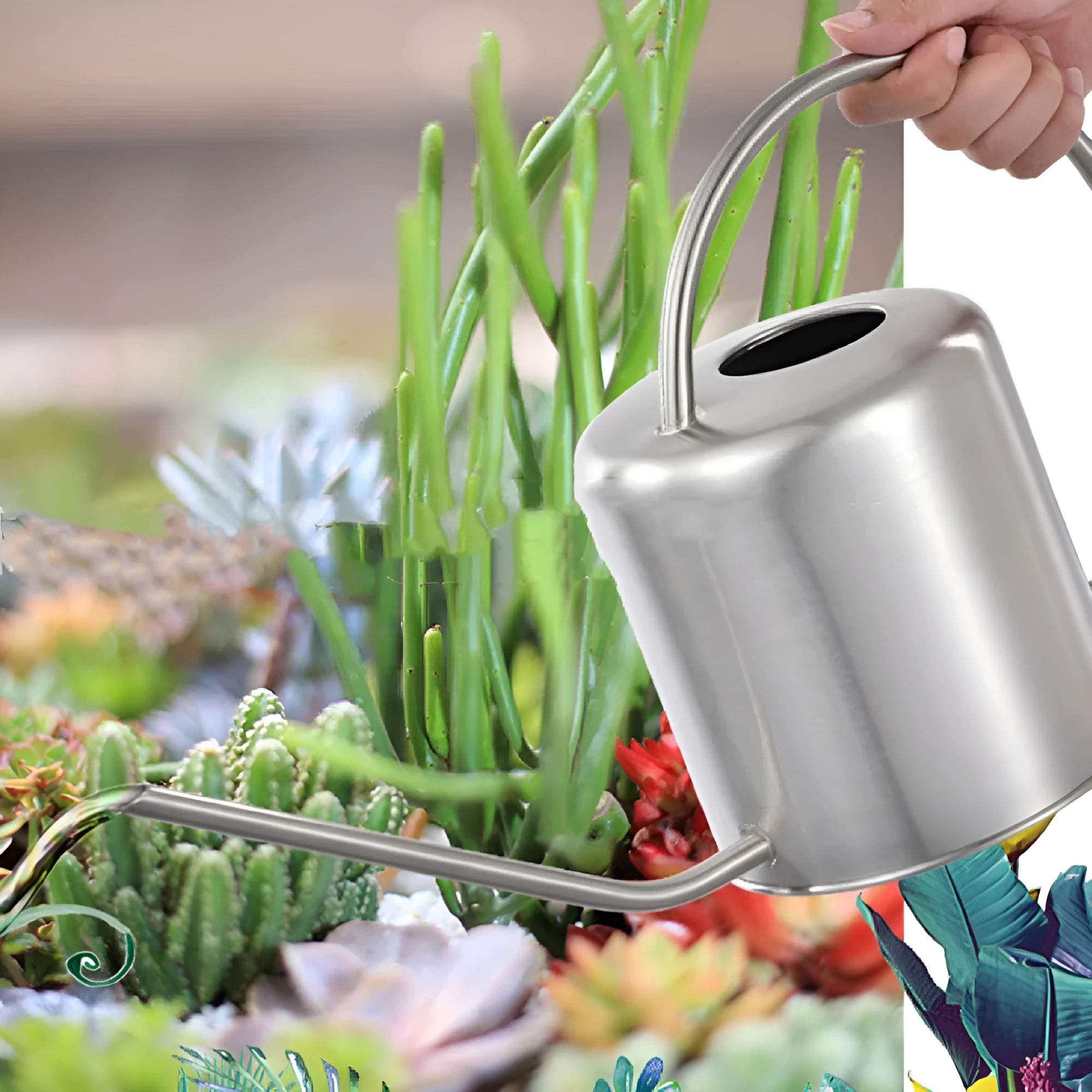 Stainless steel watering can with long spout, 2 litre capacity, shown in garden setting
