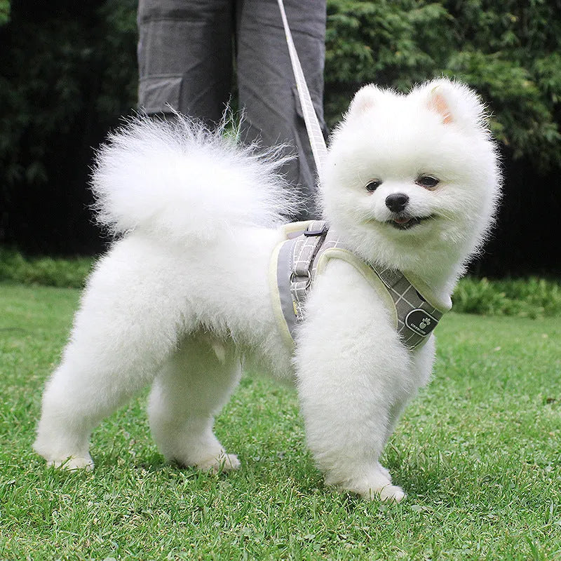 Reflective dog leash traction belt with strips made of polyester in grey colour
