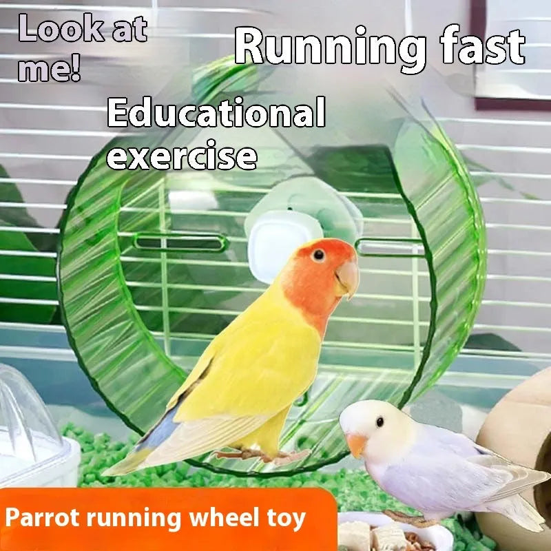 Parrot wheel running toy in plastic construction with treadmill design for bird exercise