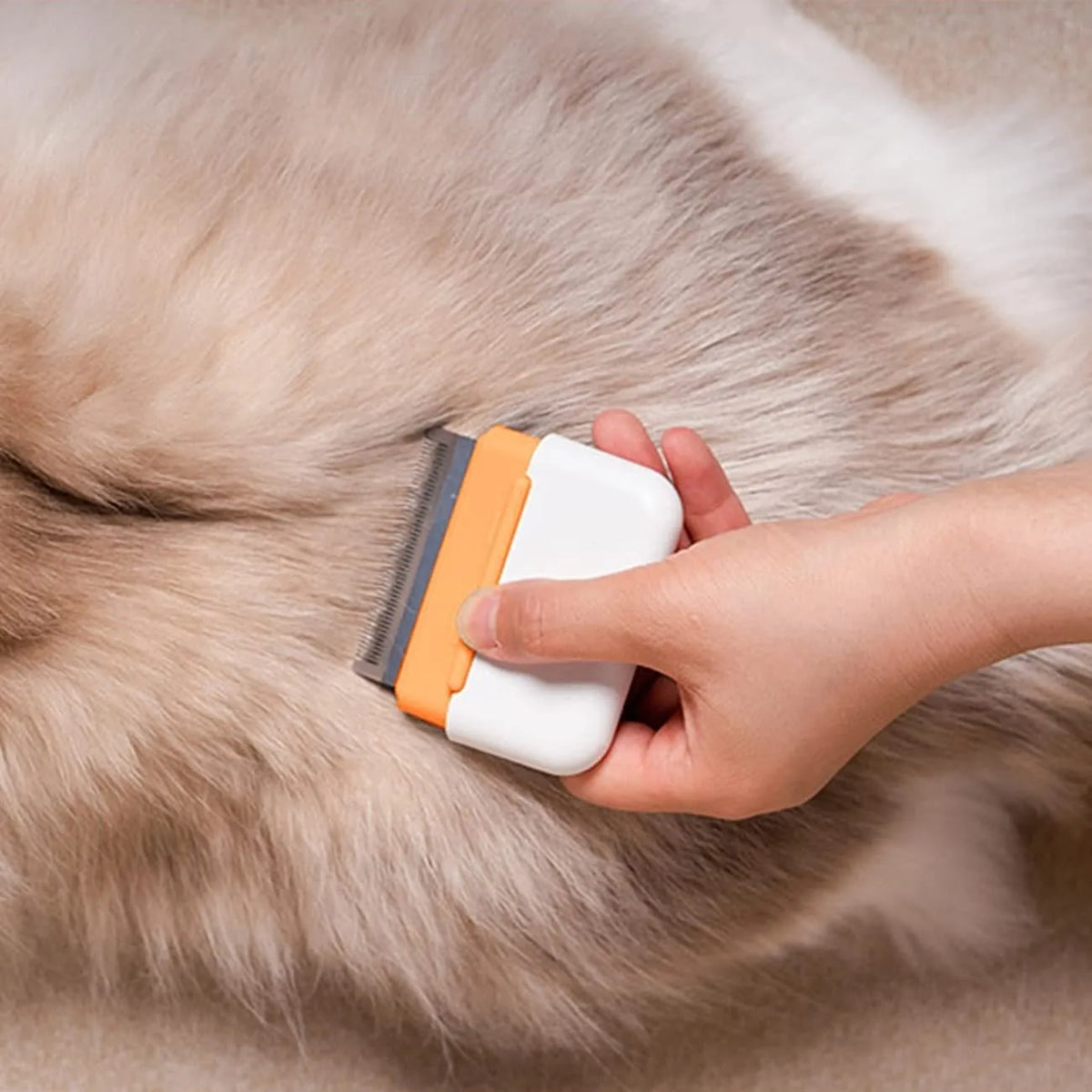 Blue double-sided pet grooming comb with stainless steel teeth and soft bristles on a white background.