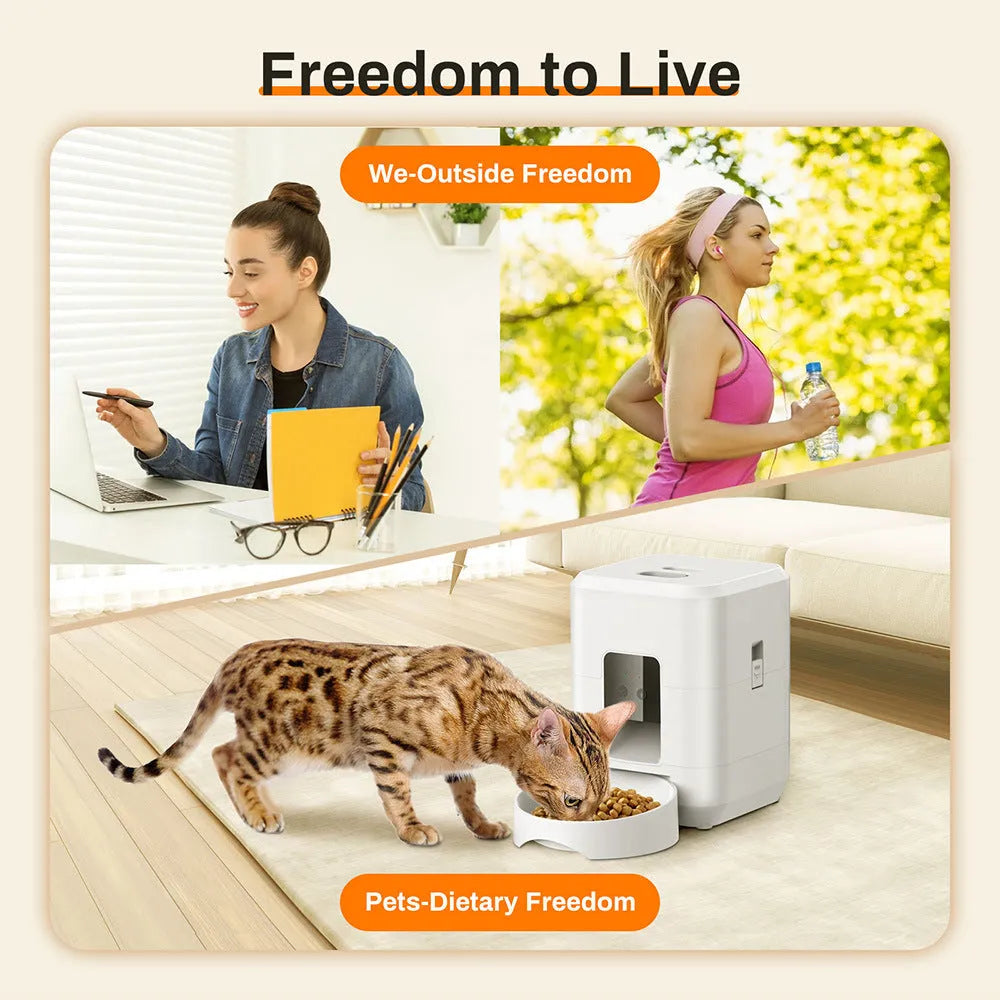 Pet Smart Feeder 2L round bullet black button automatic dog feeding machine with USB cable and adapter