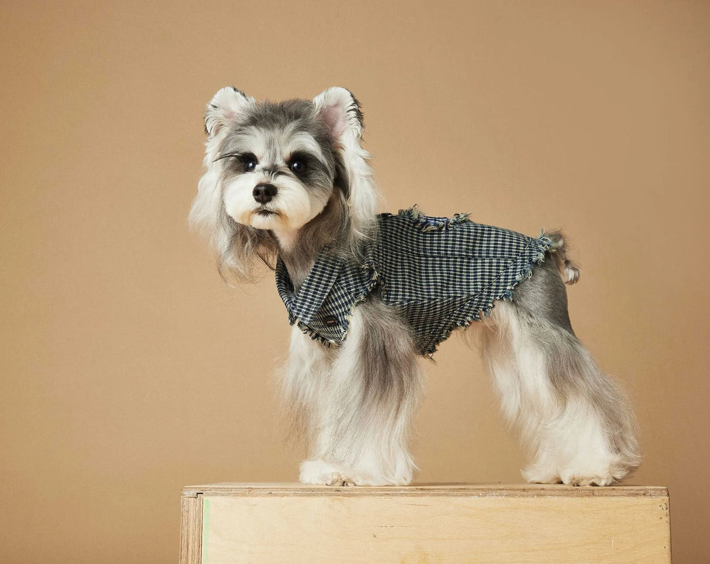 Blue washed old plaid sleeveless denim dog vest in cotton, casual unisex pet clothing, sizes XS to XXL