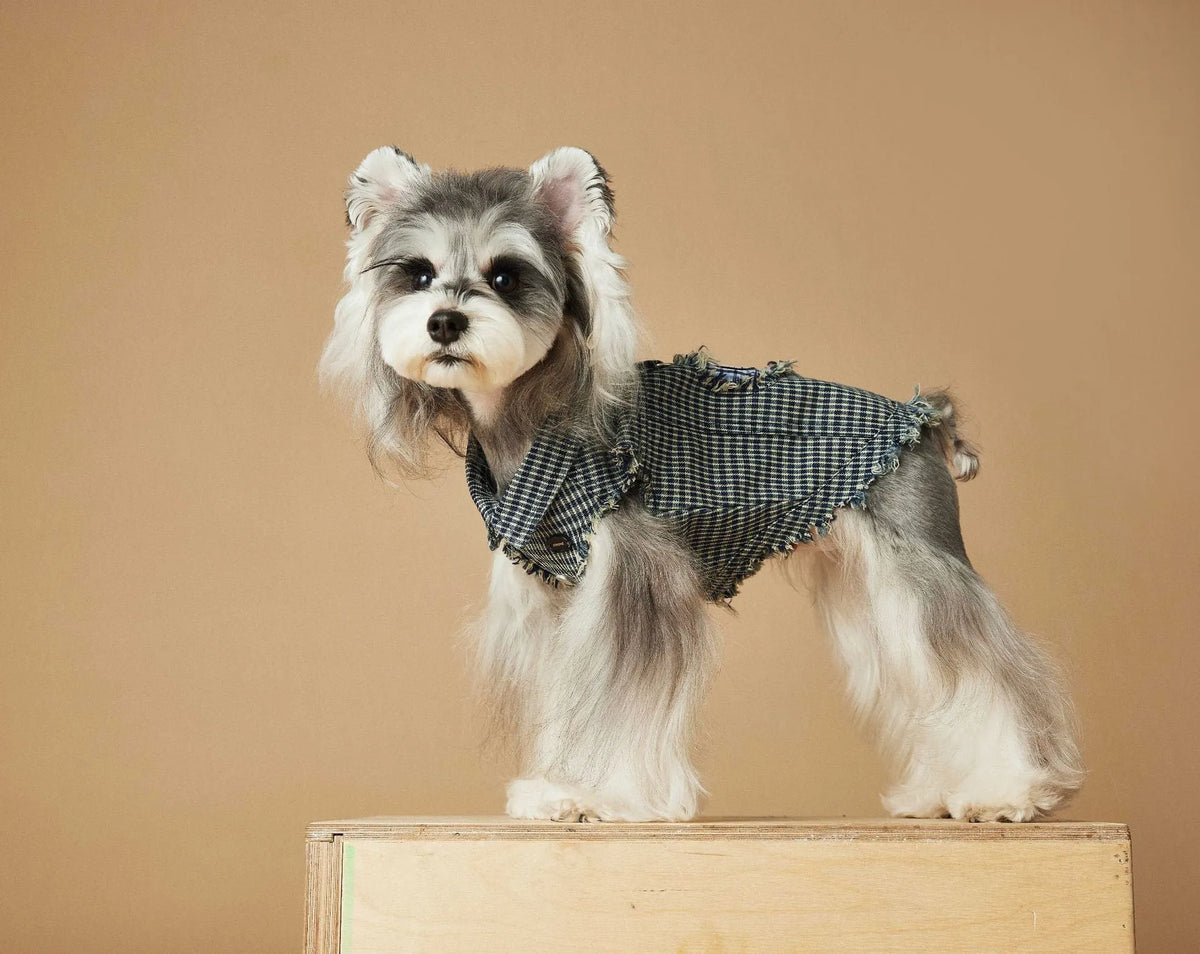 Blue washed old plaid sleeveless denim dog vest in cotton, casual unisex pet clothing, sizes XS to XXL