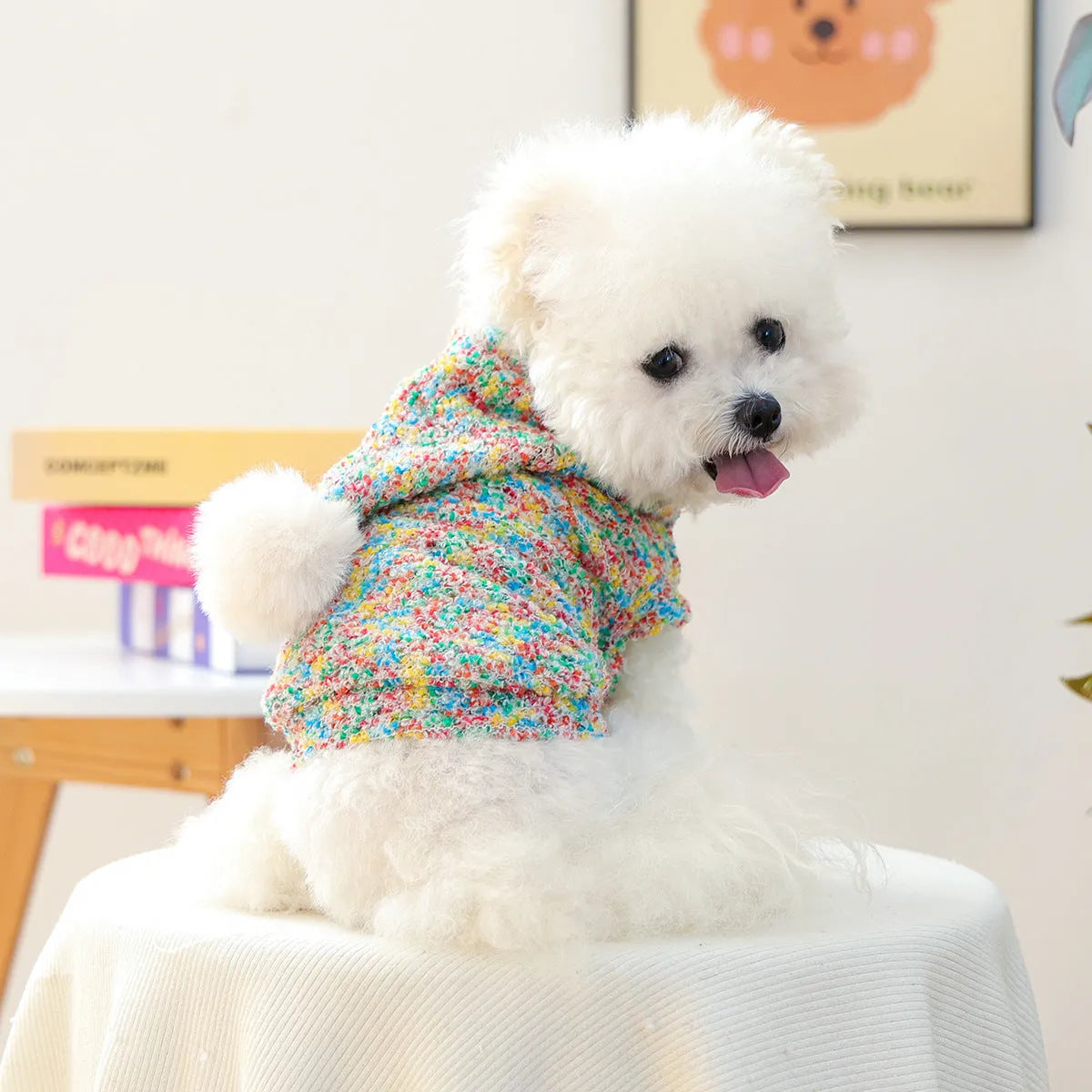 Candy-coloured polyester pet hoodie for small dogs and cats, unisex, sizes XS to XL