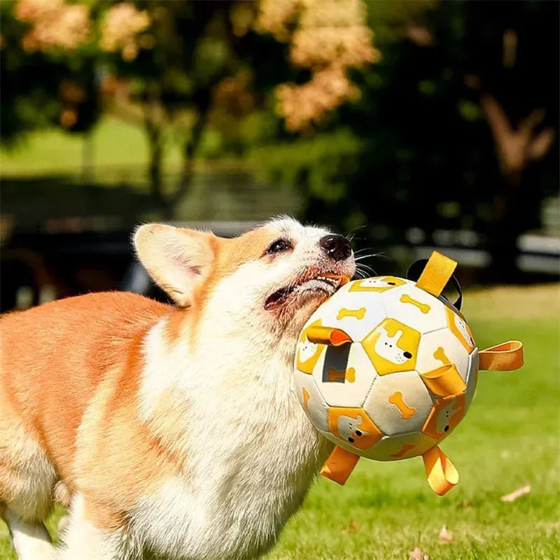 Interactive PU dog football with nylon edge and strap, available in 15cm and 19cm sizes for training play