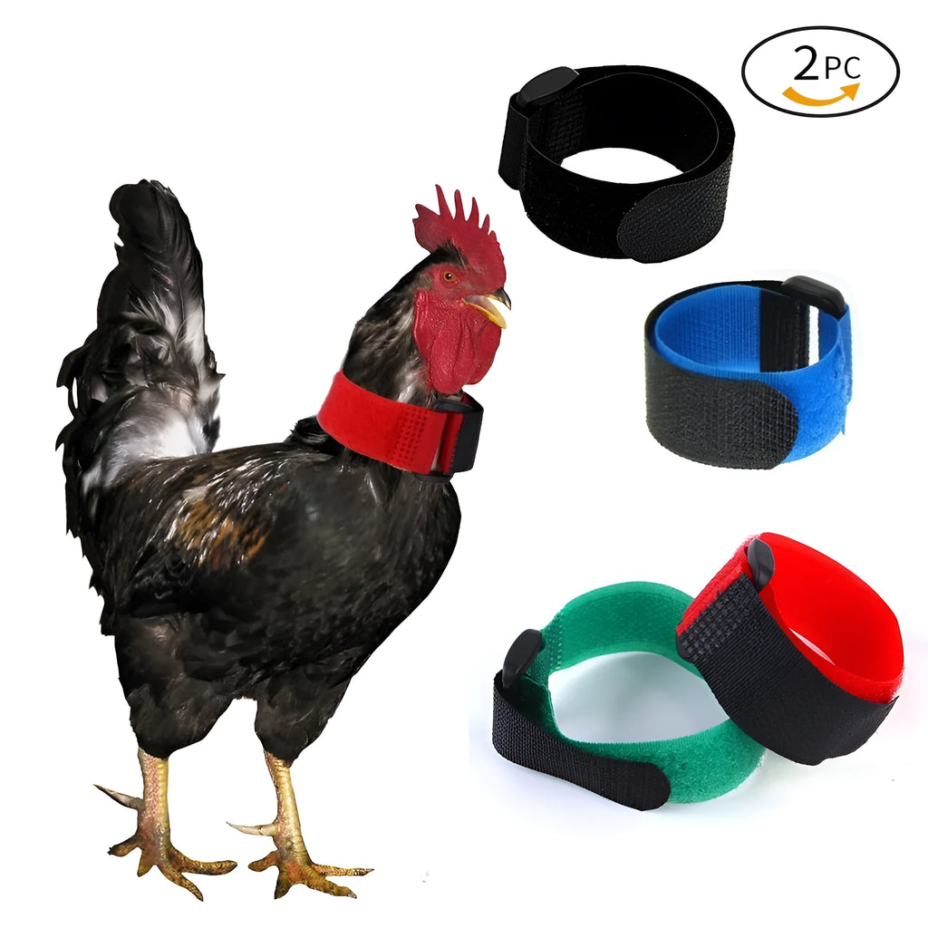 2-pack nylon poultry collar for chickens ducks and geese in yellow red green blue black and Christmas colours