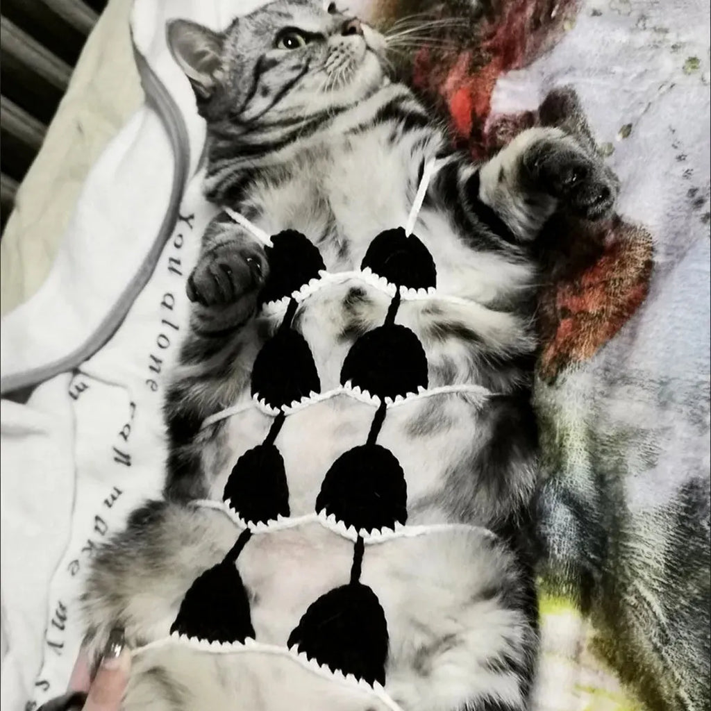 A cat wearing a black bikini bra costume for Halloween or party cosplay.