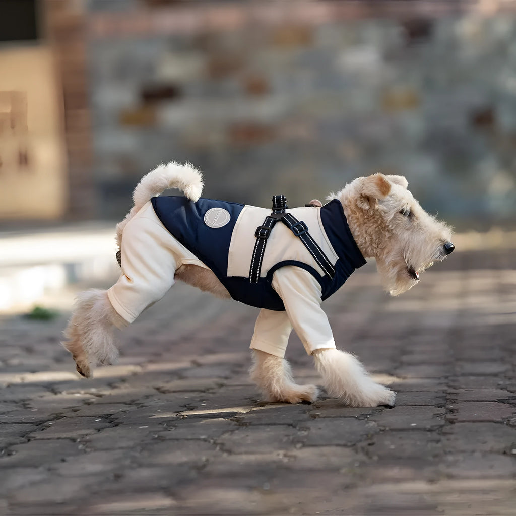 Windproof polyester dog coat in navy blue with integrated chest and back design
