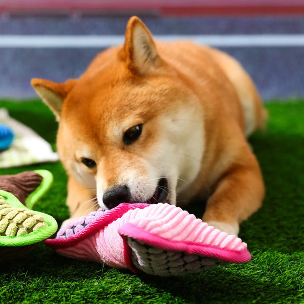 Blue teddy dog toy with a bone model and corn fleece lining for bite-resistant play.