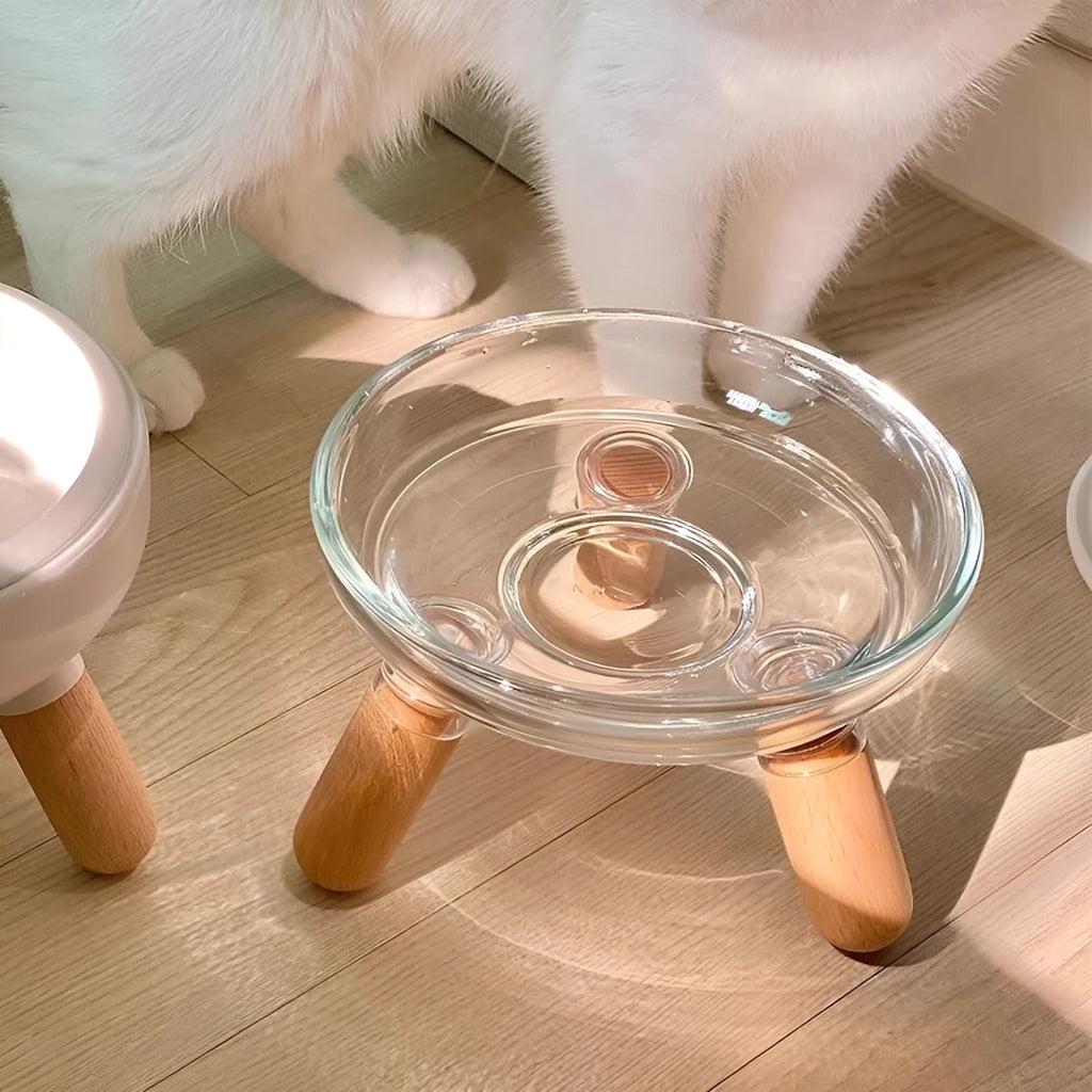 Light colour plastic pet bowl with removable glass bowl for cervical protection and spill resistance