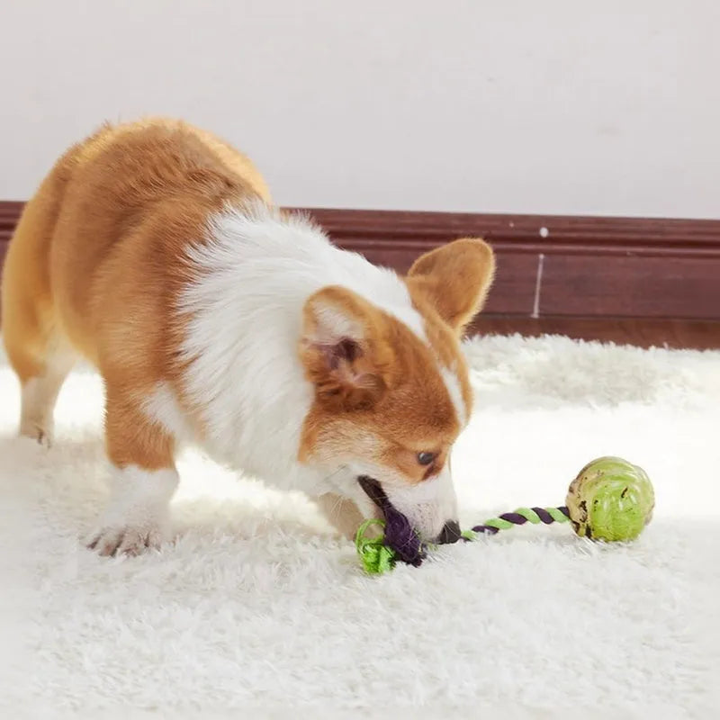 Ball knot dog toy with rubber ball and long rope for tug-of-war, available in Big and Small sizes.