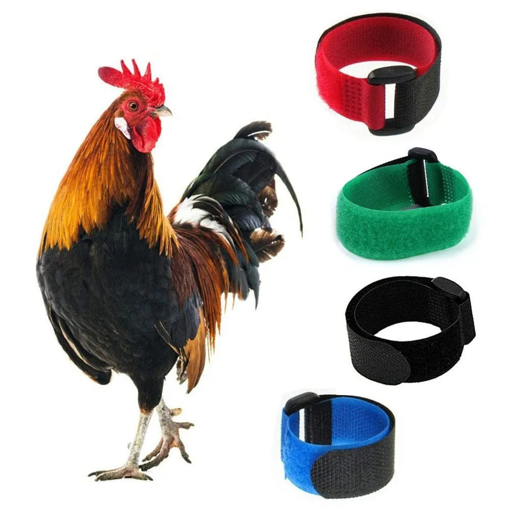 2-pack nylon poultry collar for chickens ducks and geese in yellow red green blue black and Christmas colours