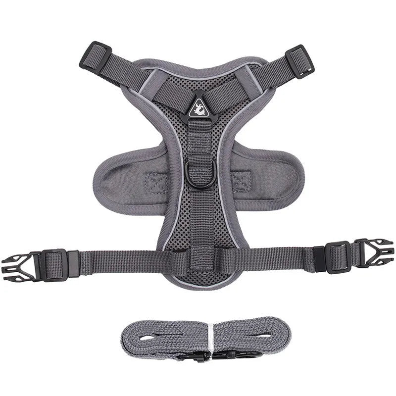 Anti-breakaway cat lead with silver gradient chain and 1.5m flat rope, plus chest harness, in six colours and four sizes
