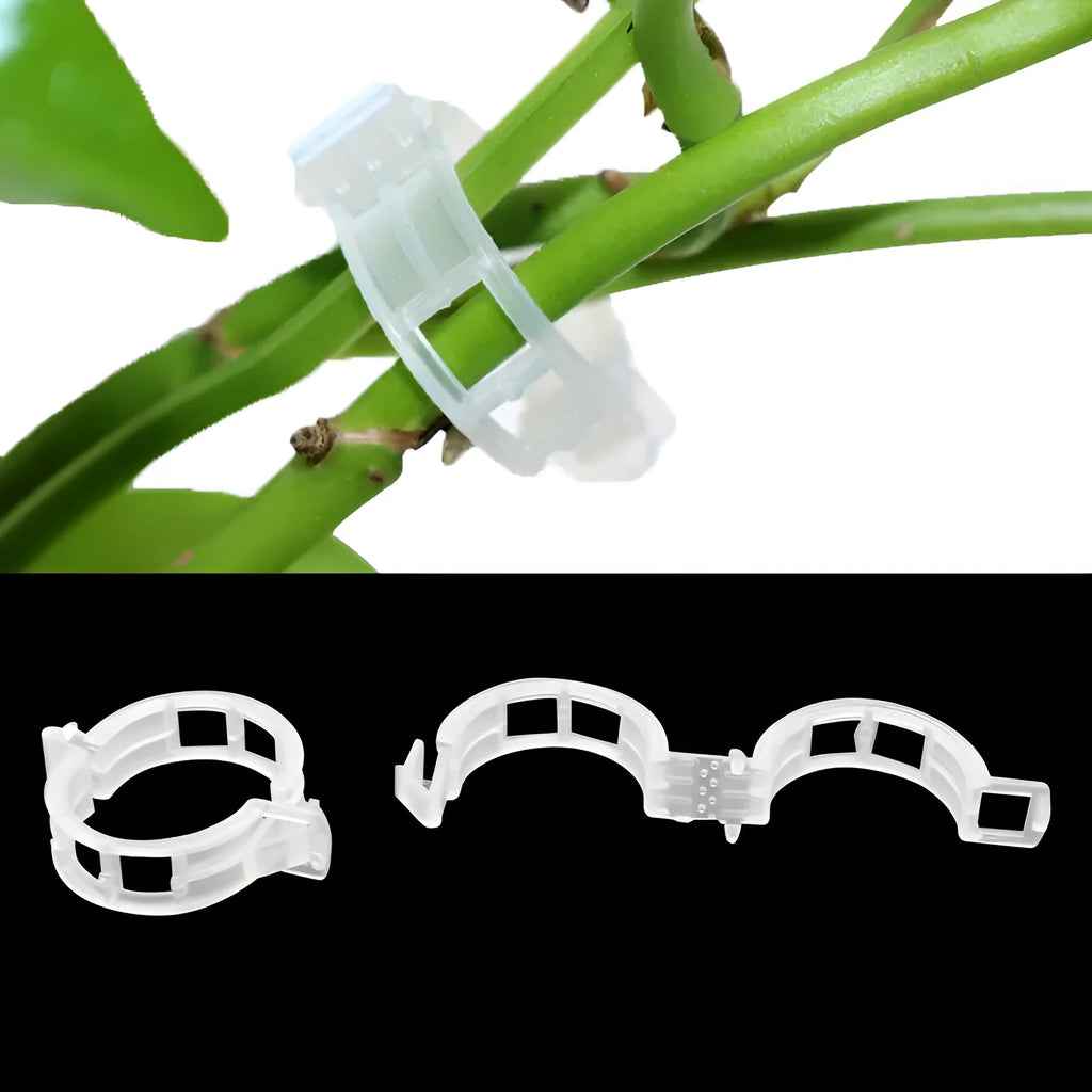 Pack of 50 plastic plant grafting clips for tomato and vine support.