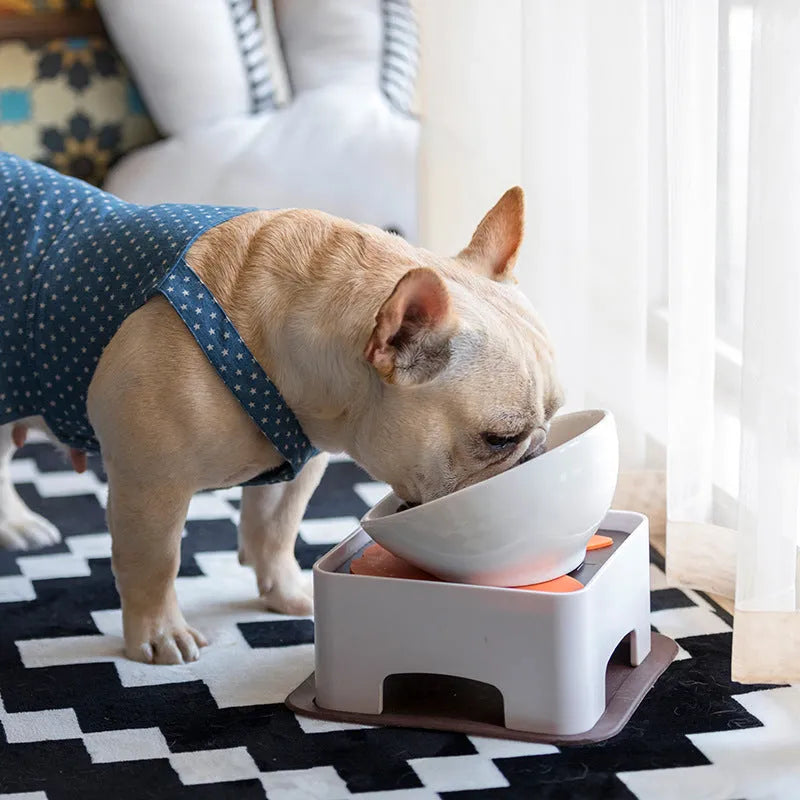 150ml ceramic pet bowl with PP dining table and silicone mat, black or white, for cats and small to medium dogs