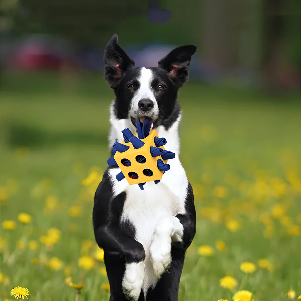 Dog cube molar teething toy in polyester, 18cm x 18cm x 10.5cm, available in yellow or green