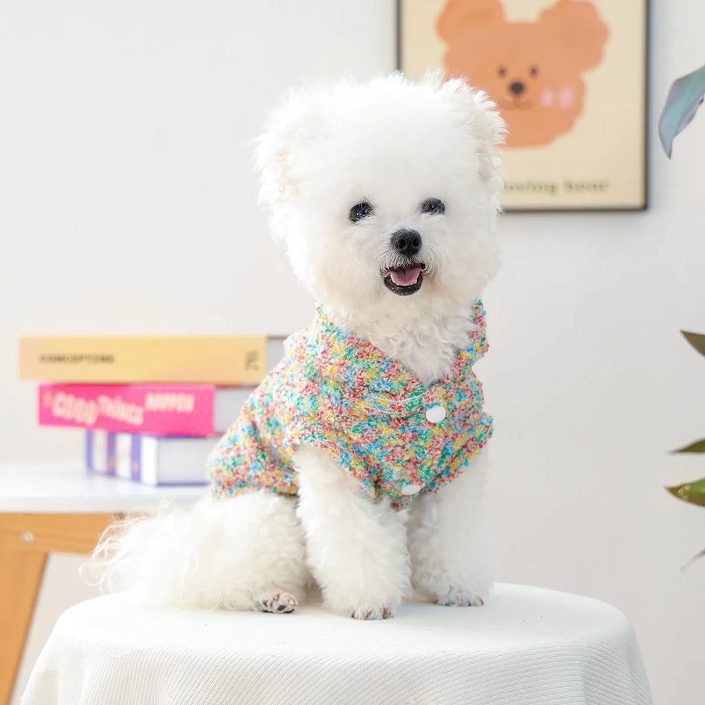 Candy-coloured polyester pet hoodie for small dogs and cats, unisex, sizes XS to XL