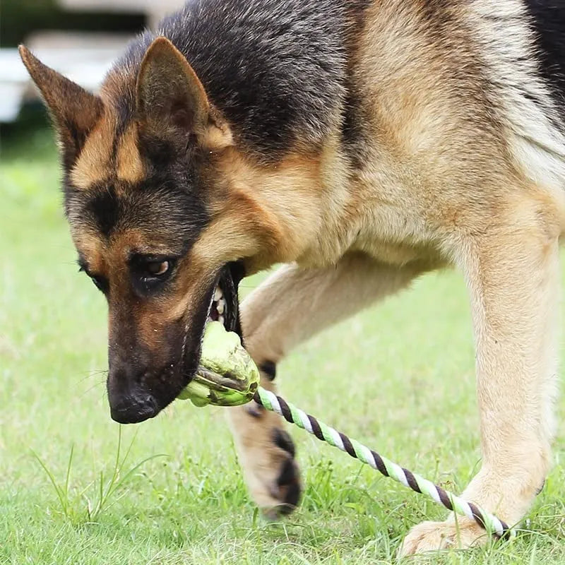 Ball knot dog toy with rubber ball and long rope for tug-of-war, available in Big and Small sizes.
