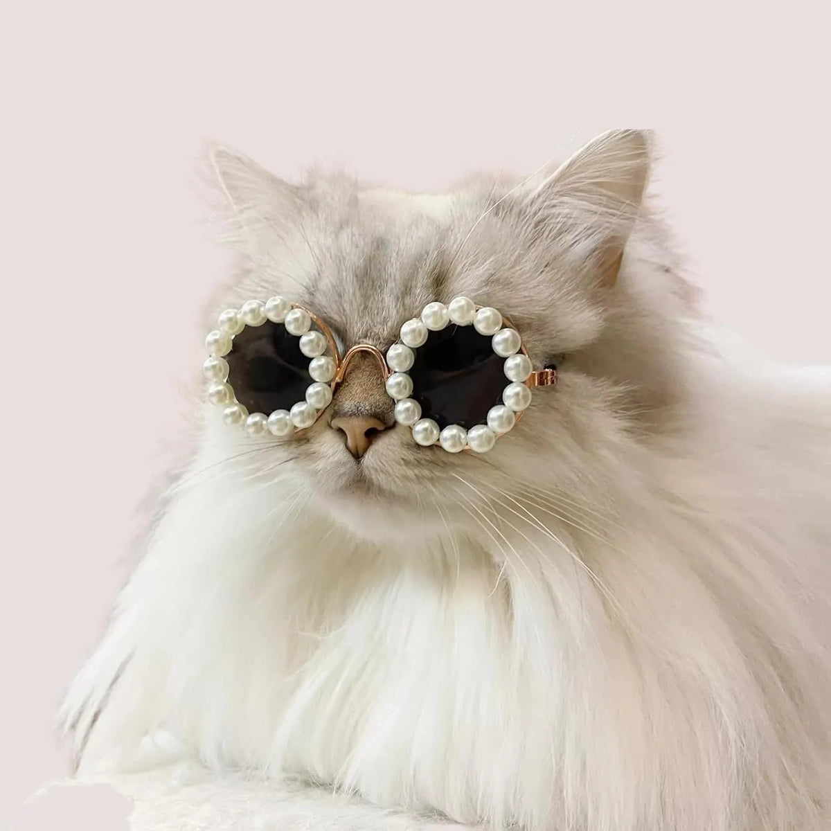 Pearl-rimmed round sunglasses for a cat or dog, shown in blue, with size options of 11cm and 8cm.