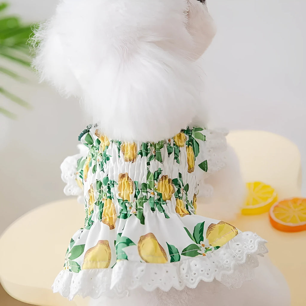 Rock yellow lemon polyester princess style dog dress with thin straps on a small dog.