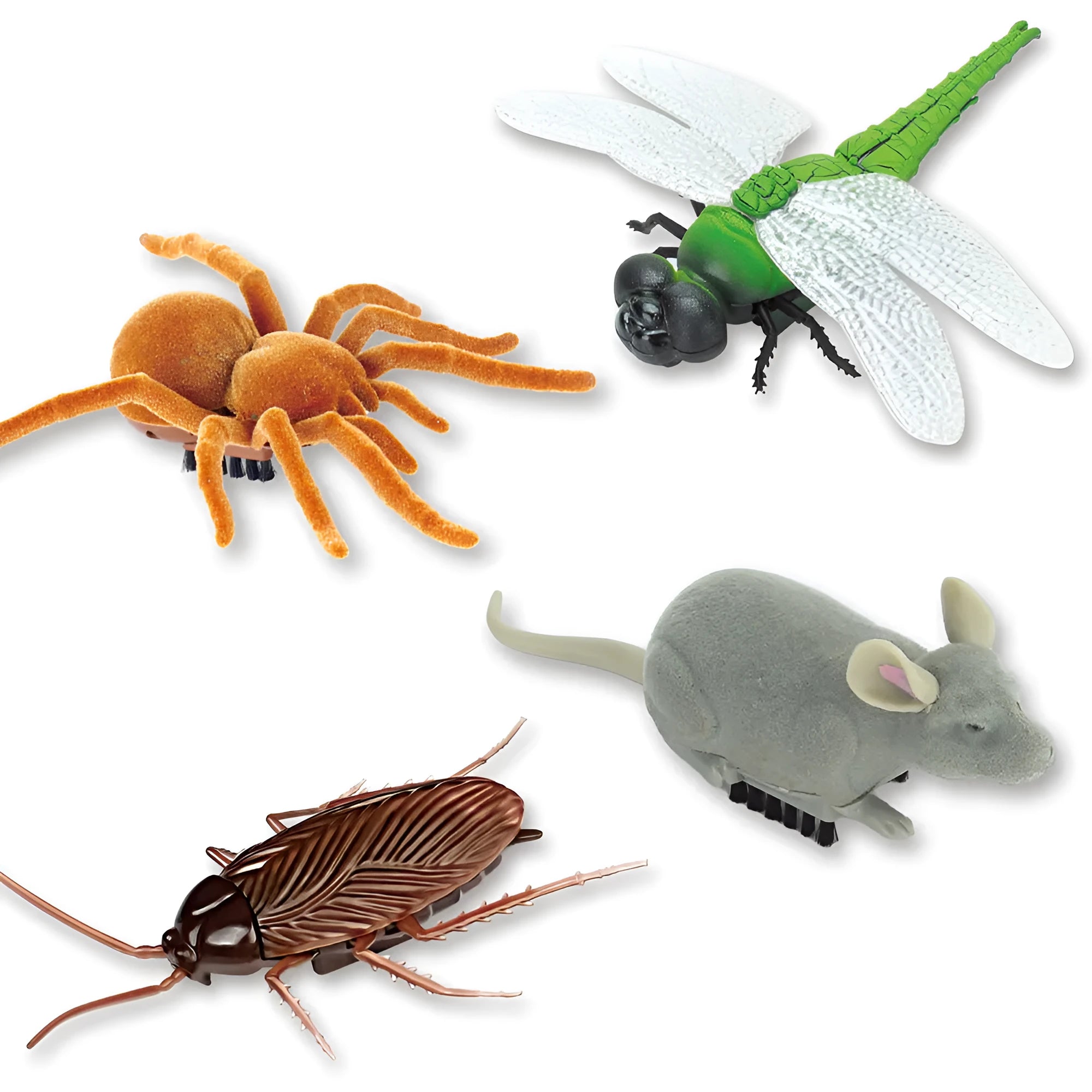 Electric vibration pet toy showing cockroach, dragonfly, tarantula and mouse designs