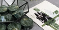 Green matte Japanese paper tape roll for hand account decoration and journalling
