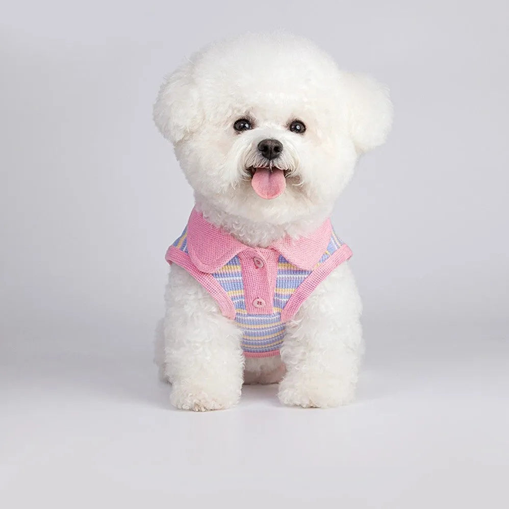 Pink purple knitted vest for a small dog or cat on a mannequin.