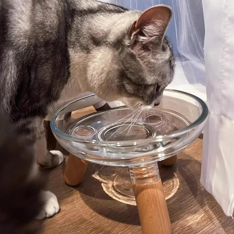 Light colour plastic pet bowl with removable glass bowl for cervical protection and spill resistance