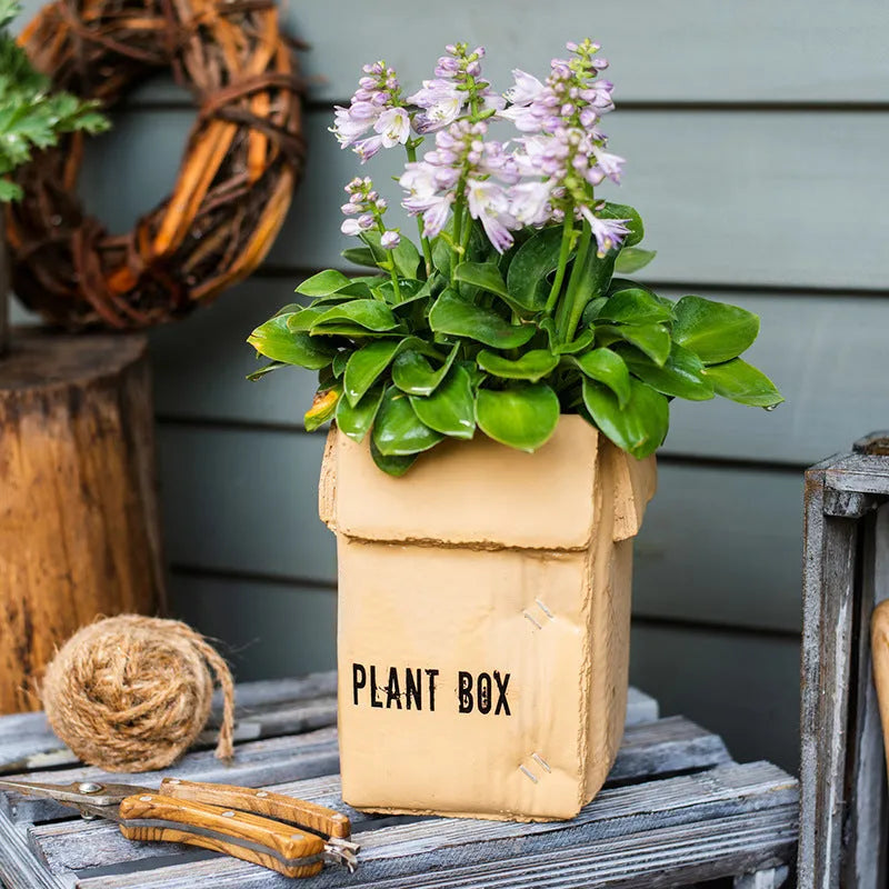 Cement paper box style flowerpot with bottom drainage holes for indoor planting