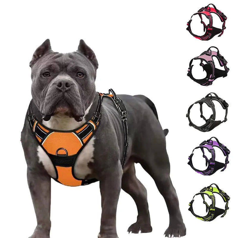 Nylon dog rope chest and back lead in ten colours with 1.5 m round rope option and sizes S M L XL