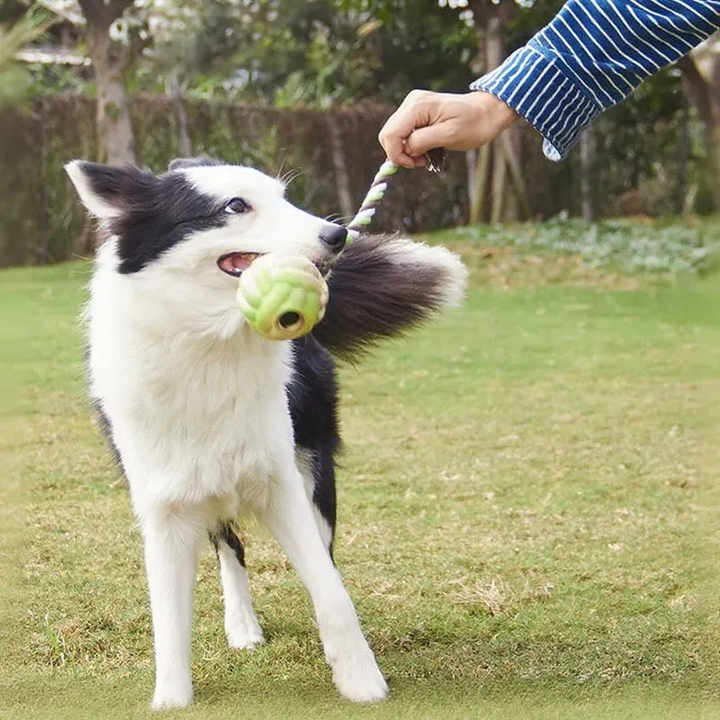 Ball knot dog toy with rubber ball and long rope for tug-of-war, available in Big and Small sizes.