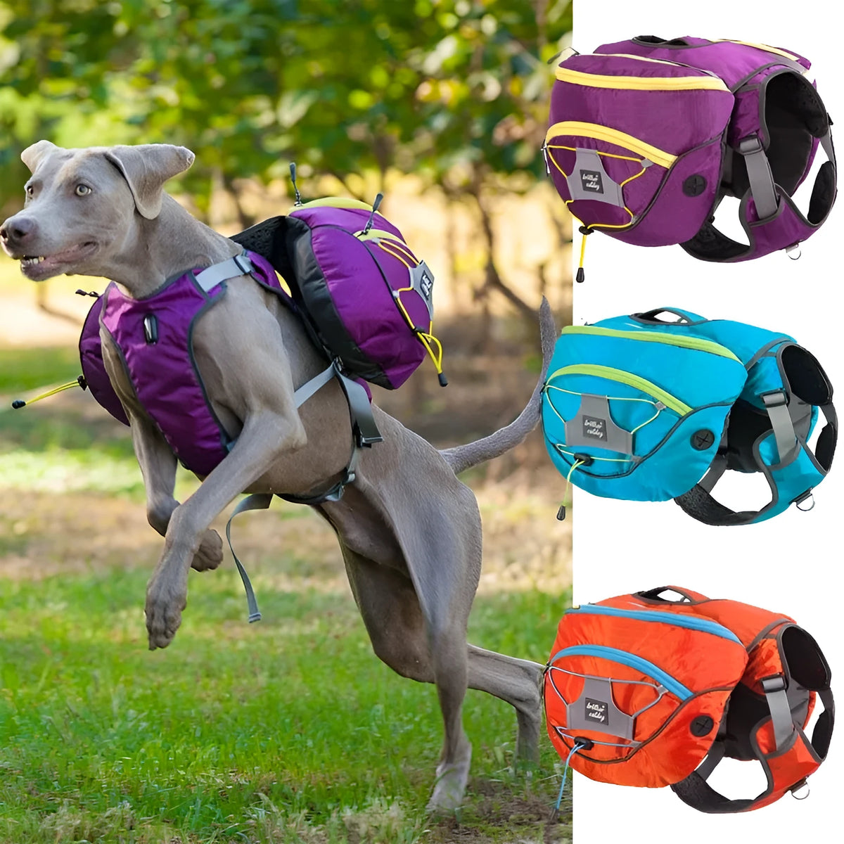 Pet self backpack carrier for medium and large dogs, detachable chest-worn, water-repellent polyester, purple orange blue