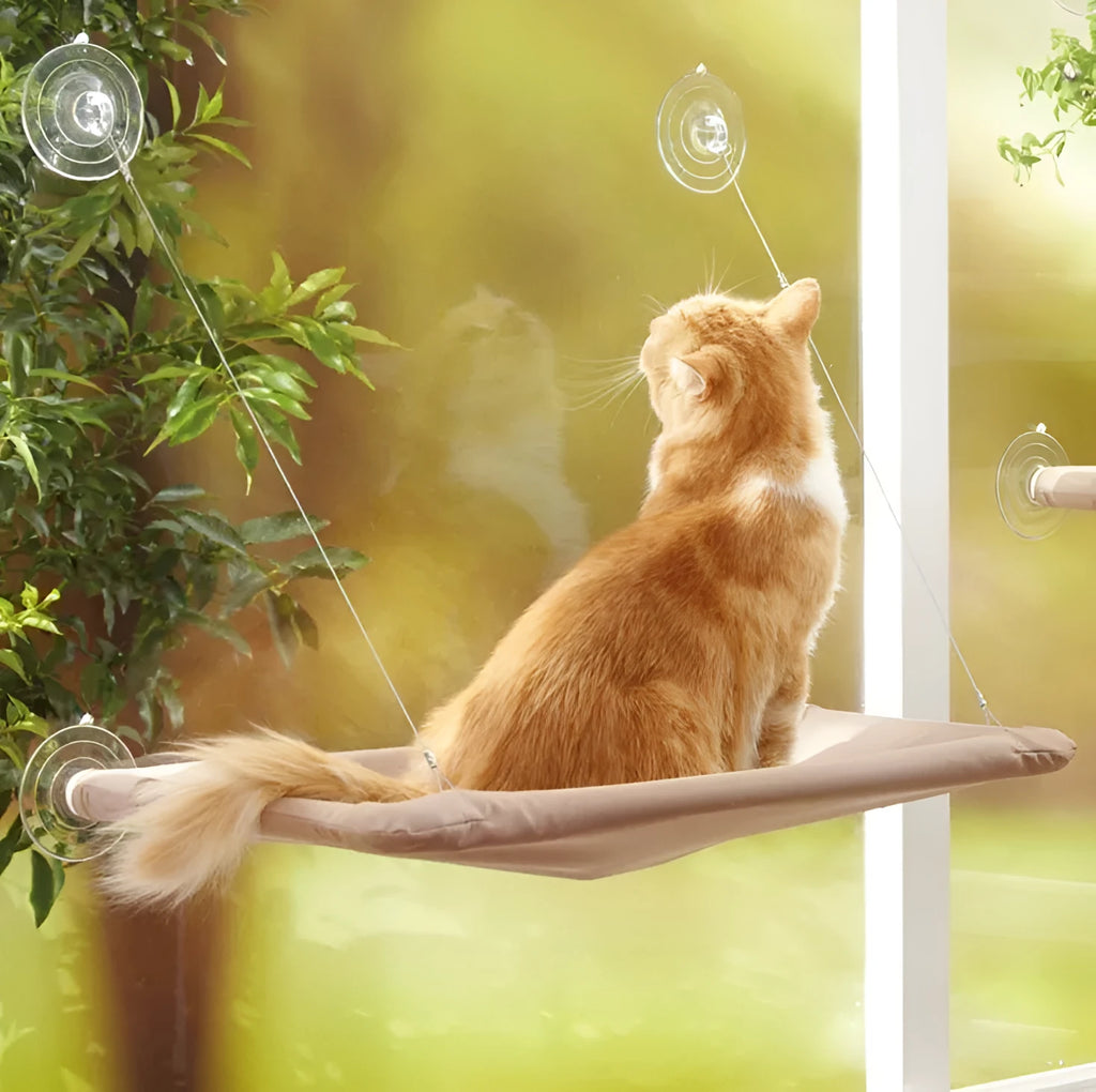 Grey cat window perch hammock 55x35cm with four sucker cups on glass