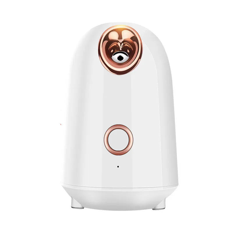 Nano Thermal Spray Moisturizing Face Steamer in white with single gear control and 280W power