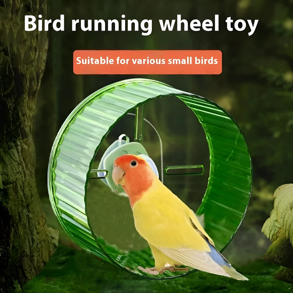 21cm transparent plastic parrot exercise running wheel toy for bird cages
