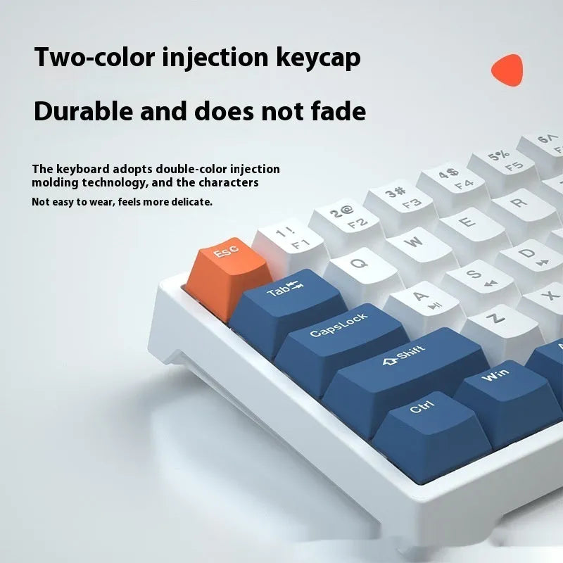 Blue and white 61-key mechanical computer keyboard with wired hot-plug connection
